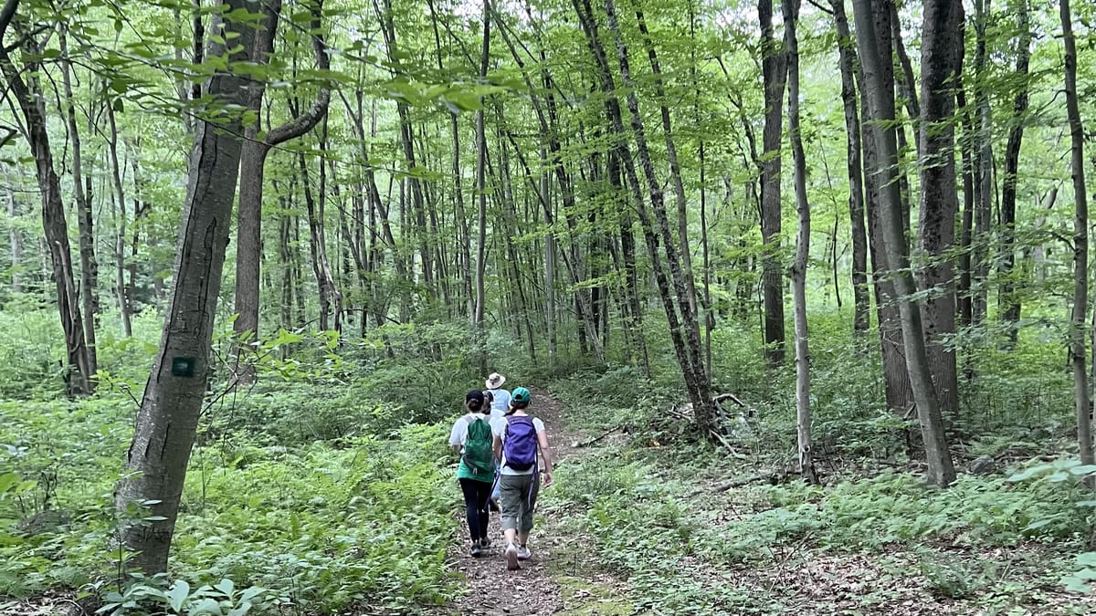 Safeguarding Woodbridge’s Future: Our Perspective on Development and Conservation