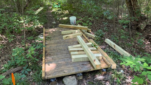 Second Sunday Workday: Improving Trails at the FitzGerald Tract