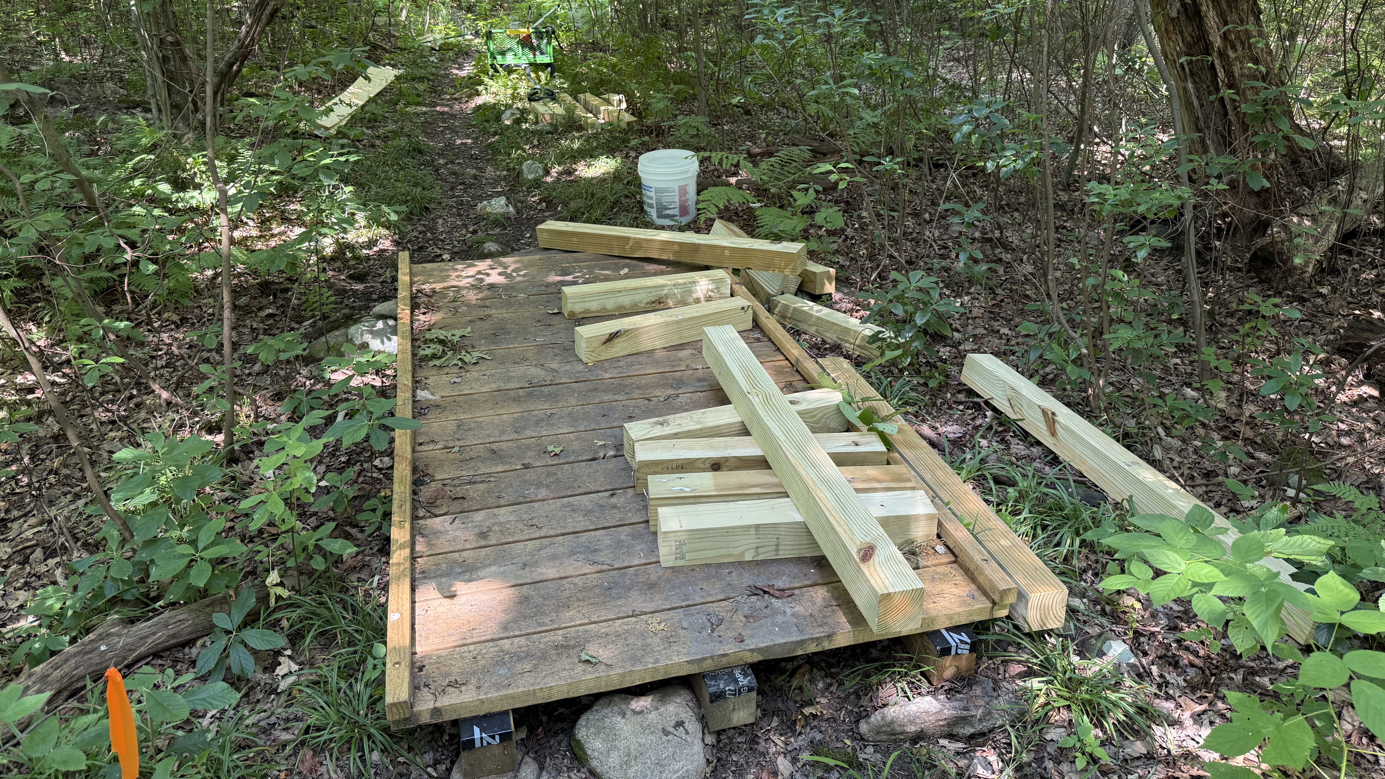 Second Sunday Workday: Improving Trails at the FitzGerald Tract