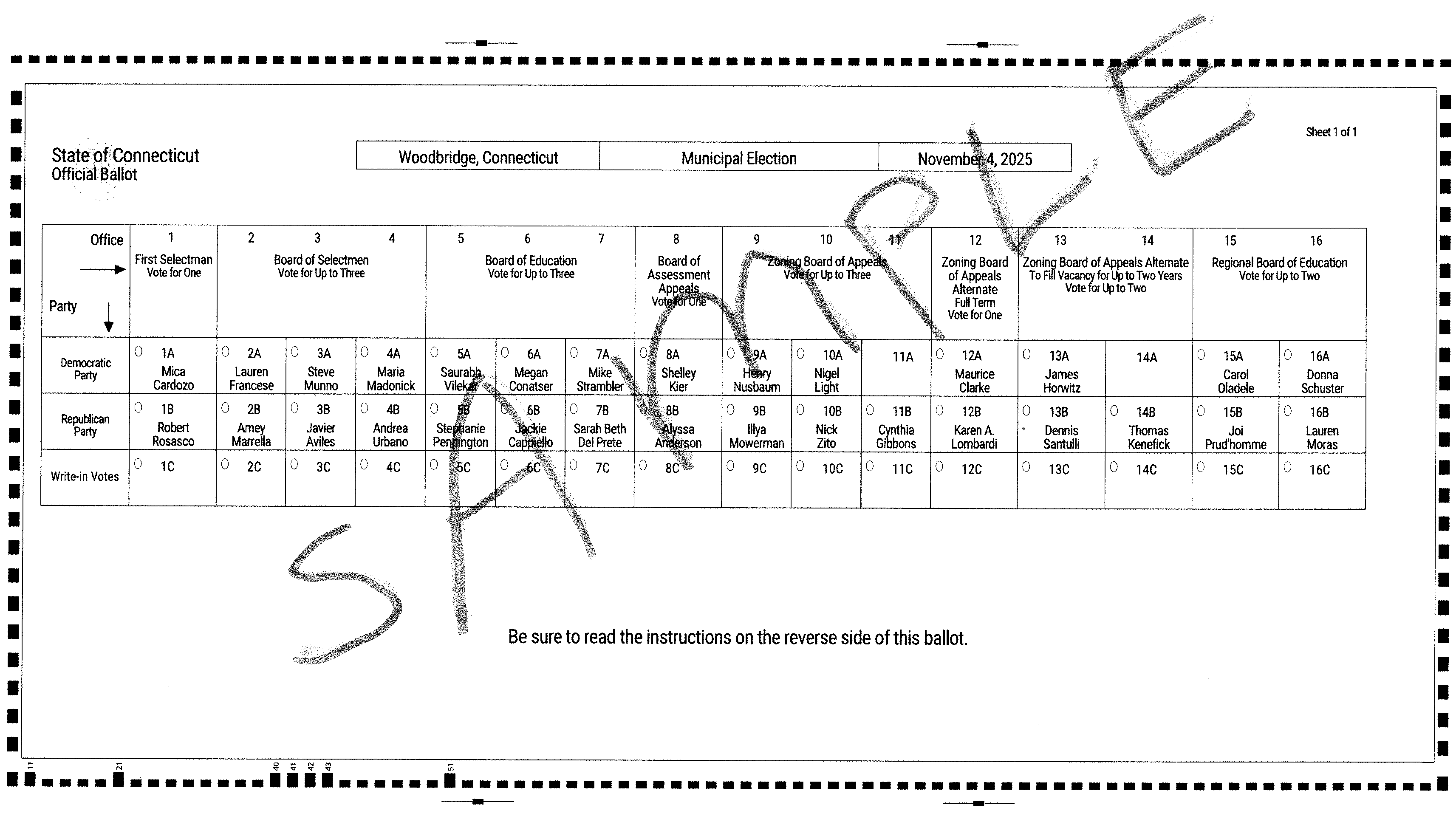 Woodbridge Sample Ballot Released